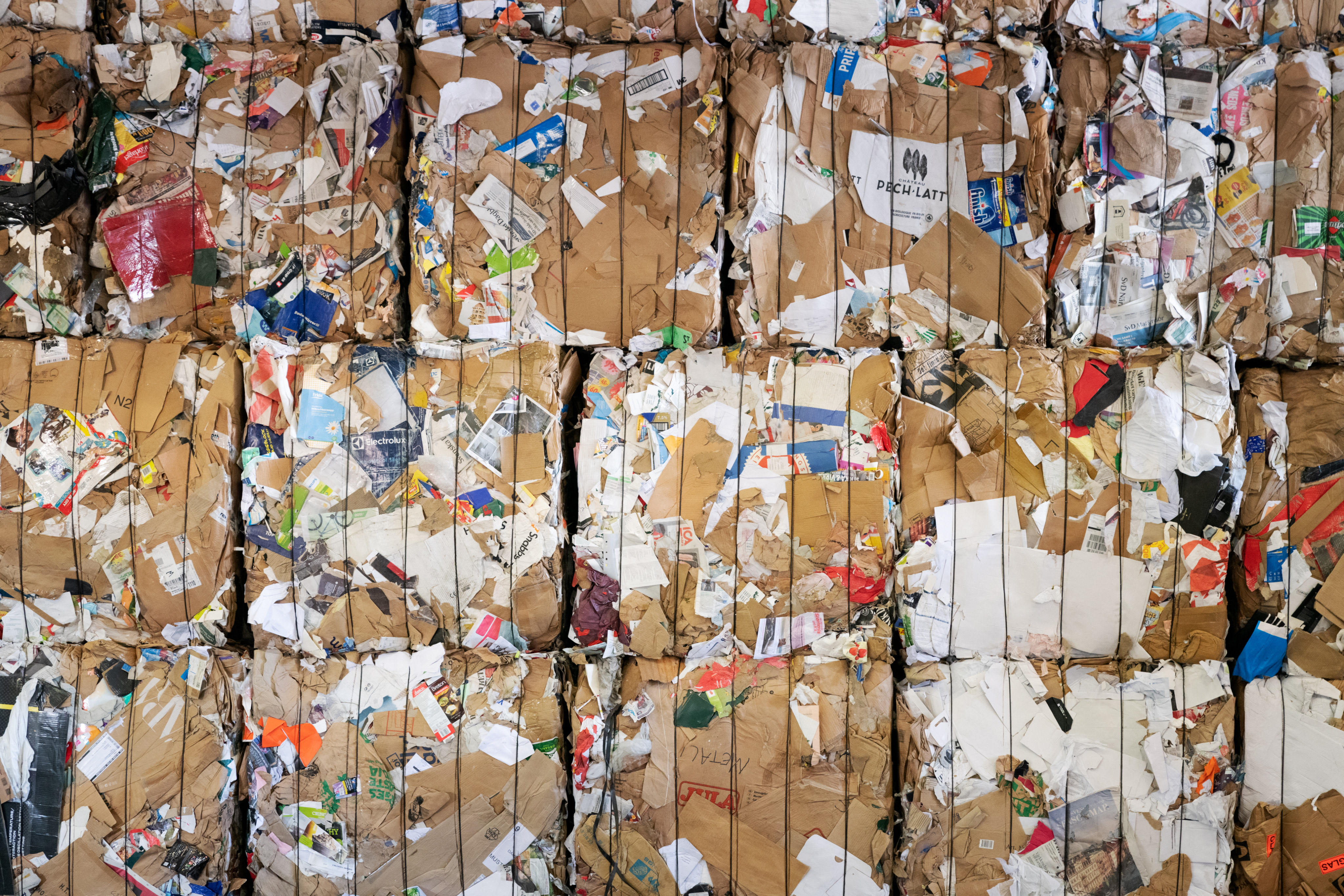 Gray sofa in a cozy living room